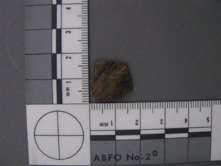 Projectile point midsection with scale