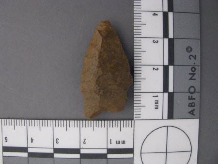 projectile point with scale