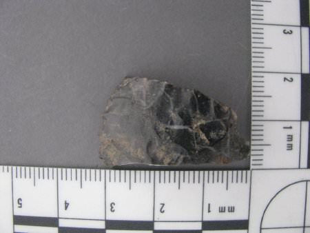 Biface midsection fragment, with scale