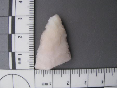 Biface tip with scale