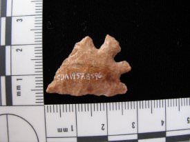 Projectile Point/Knife back