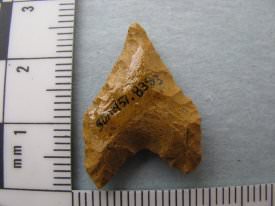 Projectile Point Back
