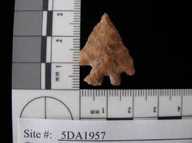 Projectile Point/Knife