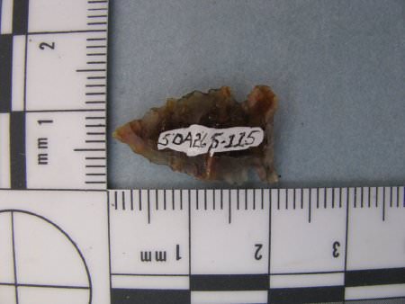 Projectile Point ID