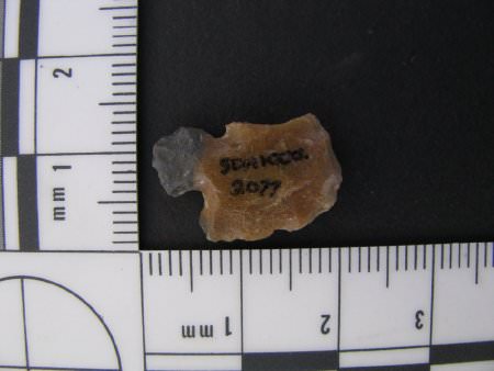 Projectile Point ID