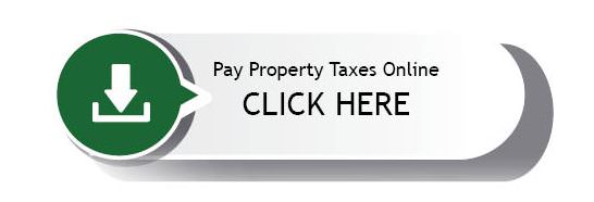 treasurer douglas county government