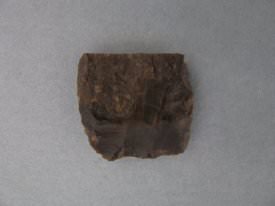 Projectile Point                        