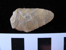 Projectile Point                        