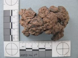 Cord marked sherd