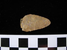 Quartzite Projectile Point