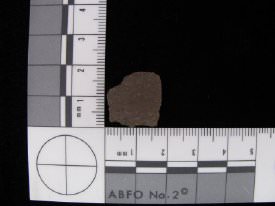 Pottery Sherd