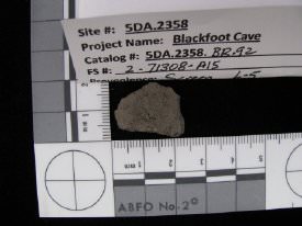 Pottery Sherd