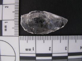 Quartz Preform