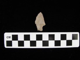 Projectile Point                        