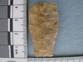 Projectile Point