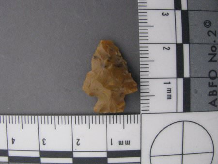 Projectile point; possible Hogback corner-notched, with scale