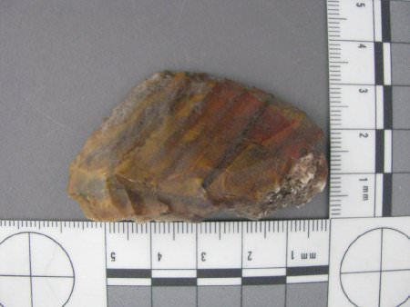 Unifacial scraper with scale
