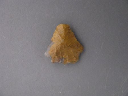 Projectile Point                        