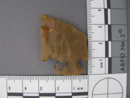 Projectile point midsection and base with scale