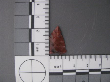 Projectile point tip with scale