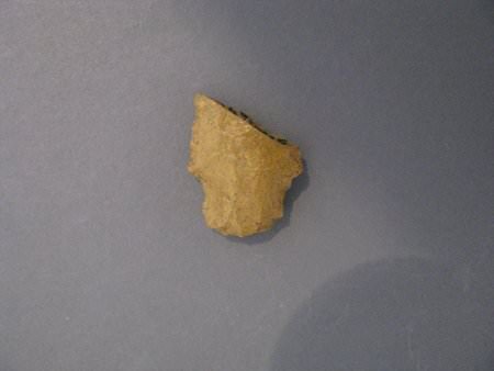 Projectile Point