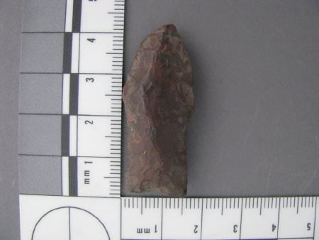 Projectile point, reworked, with scale