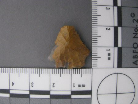 Projectile point with scale