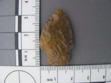 Projectile point with scale