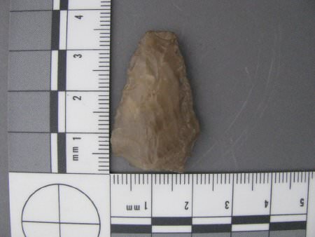 Projectile point with scale