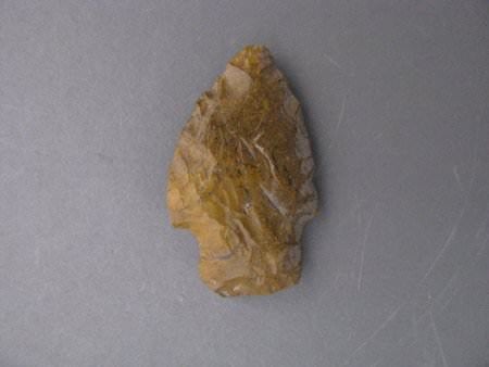 Projectile Point                        