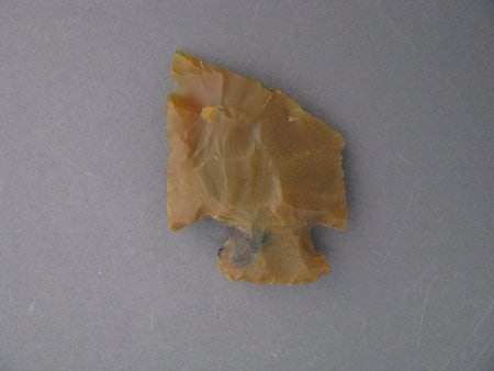 Projectile Point