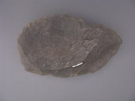 bifacial chopper with ID