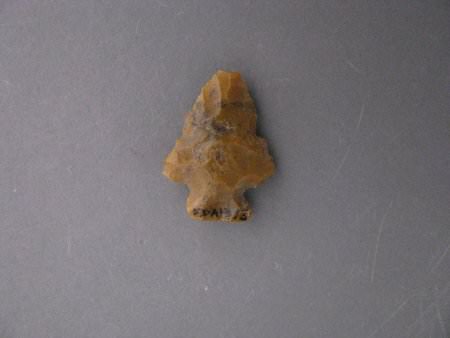 Projectile point; possible Hogback corner-notched, with scale