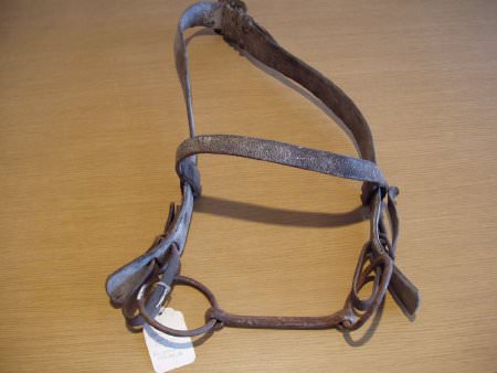 Head stall halter