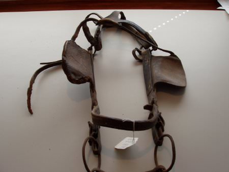 Draft horse head stall