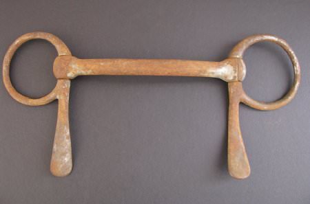 Bit, Bridle