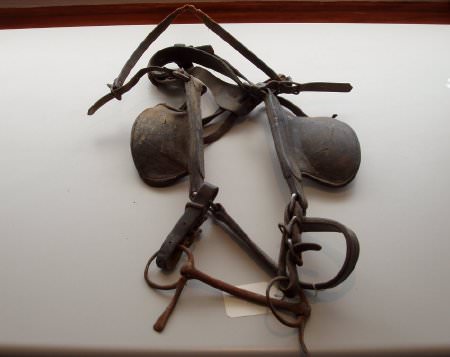 Halter