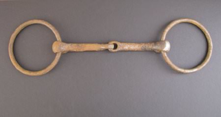 Bit, Bridle
