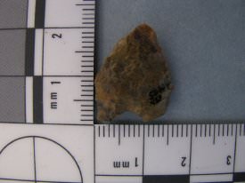 Projectile Point ID