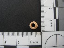 Bone Bead ID