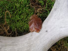 Projectile Point