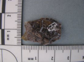 Projectile Point ID