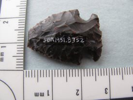 Projectile Point