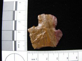 Projectile Point