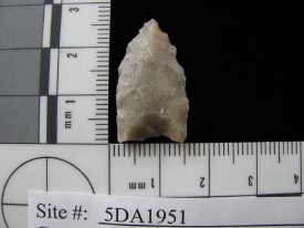 Projectile Point