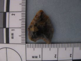 Projectile Point