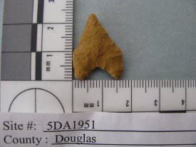 Projectile Point