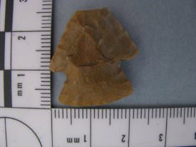 Projectile Point