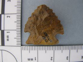 Projectile Point ID