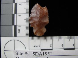 Projectile Point